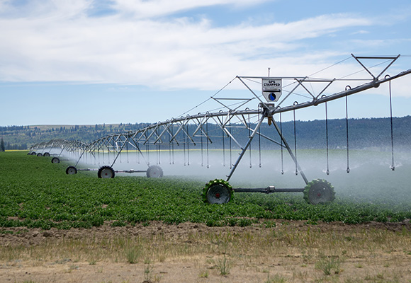 Farmland irrigation
